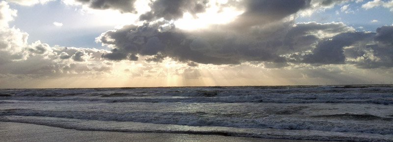 veranderen zit in de natuur